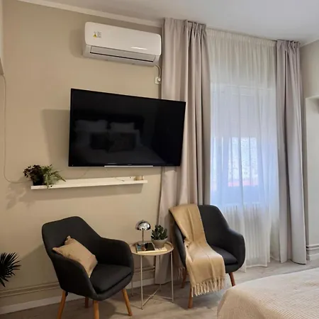 Victory 208 Center Apartment